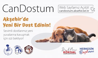 Akşehir Belediyesi’nden “Can Dostum” Sahiplendirme Platformu!