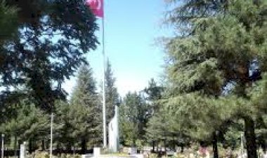 Şehit Mezarlarında Düzenleme Çalışmaları Başlıyor