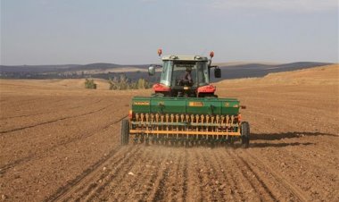 Hububat Ekimleri Yerinde İncelendi