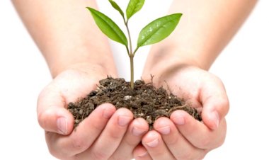 Geleceğe Nefes, Doğaya Umut! Akşehir’de Ortaköy ve Engili’de Fidan Dikme Etkinliği Düzenlendi