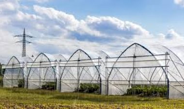 Akşehir’de KOP Destekli Sera Dönemi Başladı