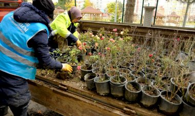 Akşehir’de Kışlık Ekim-Dikim Seferberliği Başladı