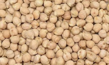 Akşehir İlçe Tarım ve Orman Müdürlüğü’nden Hibe Destekli Nohut Tohumu Çağrısı