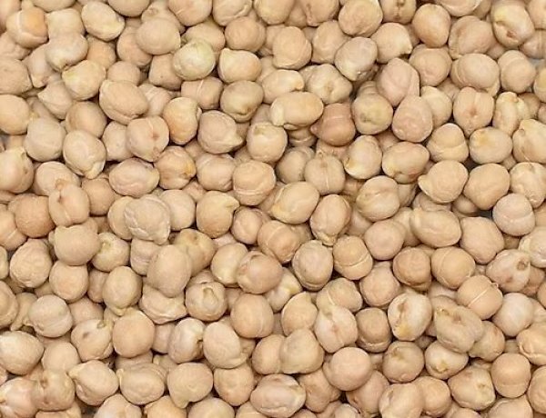 Akşehir İlçe Tarım ve Orman Müdürlüğü’nden Hibe Destekli Nohut Tohumu Çağrısı