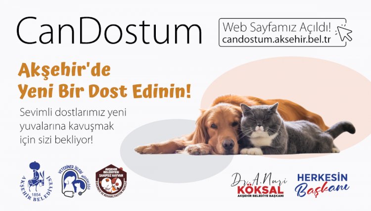 Akşehir Belediyesi’nden “Can Dostum” Sahiplendirme Platformu!