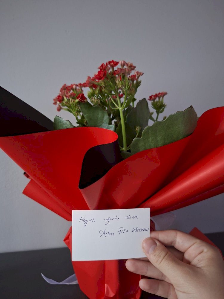 Akşehir’de Tarih ve Kültürün Yeni Sesi: Dergimiz Açıldı