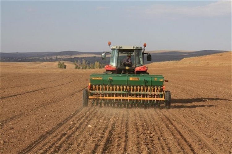 Hububat Ekimleri Yerinde İncelendi