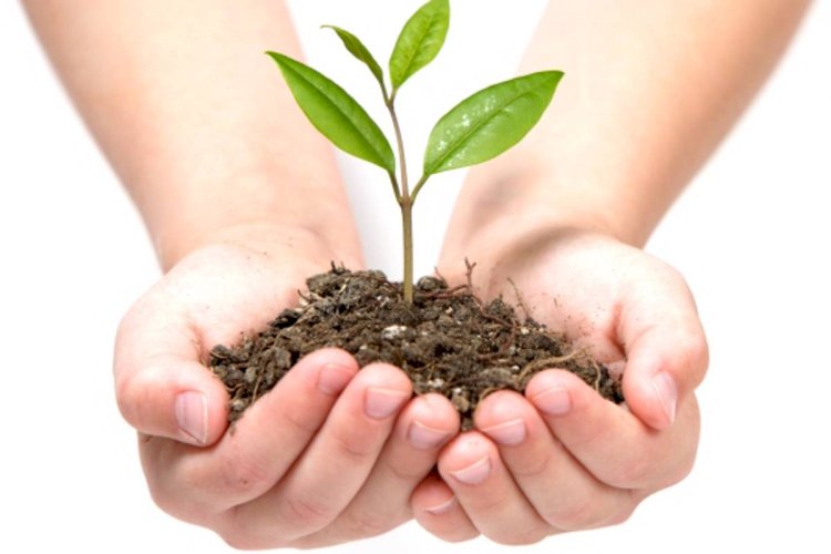 Geleceğe Nefes, Doğaya Umut! Akşehir’de Ortaköy ve Engili’de Fidan Dikme Etkinliği Düzenlendi