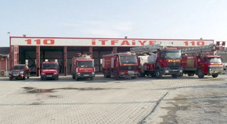 Ağaçta Mahsur Kalan Minik Patinin İmdadına İtfaiye Yetişti