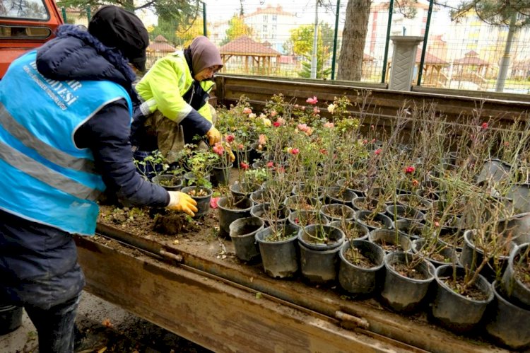 Akşehir’de Kışlık Ekim-Dikim Seferberliği Başladı
