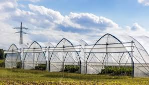 KOP Seranın Merkezi Projesi’nde Sera Kurulumları Tamamlandı